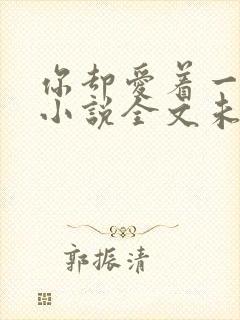 你却爱着一个他小说全文未删减免费
