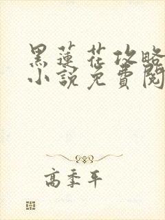 黑莲花攻略手册小说免费阅读封面