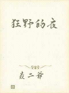 狂野的夜封面