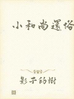 小和尚还俗记