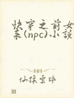 快穿之前女友归来(npc)小说免费阅读