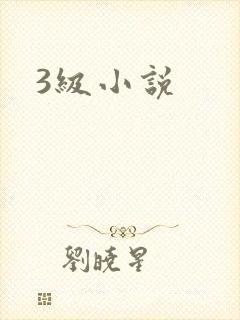 3级小说封面