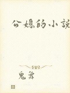 公媳的小说