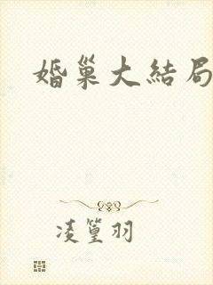 婚巢大结局封面