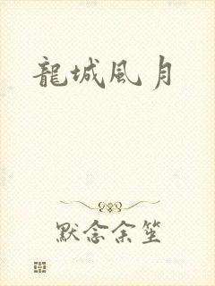 龙城风月封面