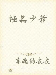 极品少爷