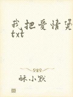 我把爱情煲成汤txt封面