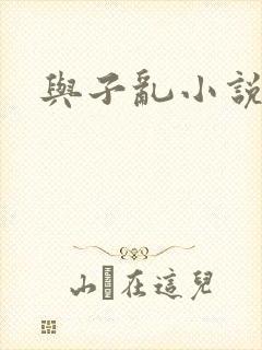 与子乱小说封面
