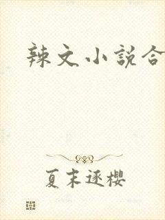 辣文小说合集封面