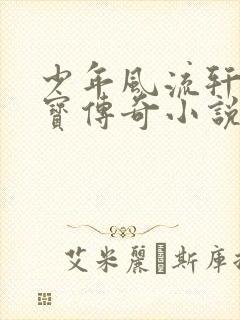 少年风流轩辕大宝传奇小说封面