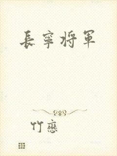 长宁将军封面