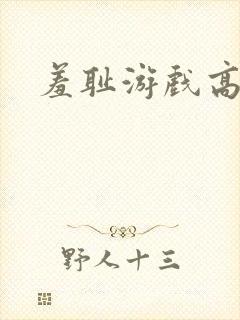 羞耻游戏高h