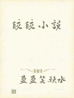 皎皎小说封面