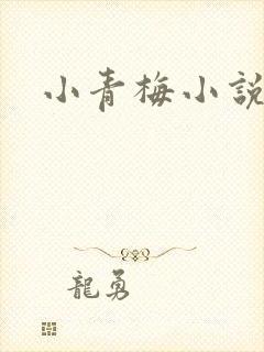 小青梅小说封面