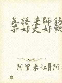 英语老师的小兔子好大好软水