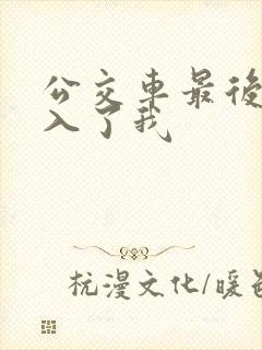 公交车最后一排入了我