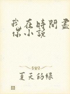 我在时间尽头等你小说
