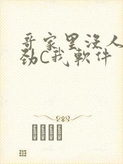 哥家里没人使点劲C我软件