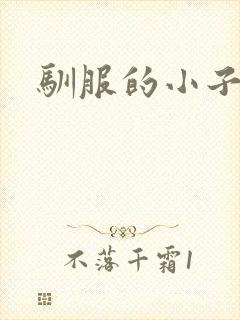 驯服的小子4