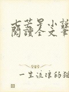 七芒星小说免费阅读全文笔趣阁