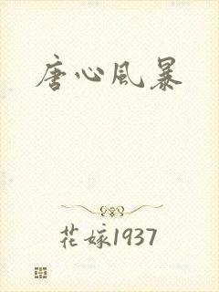 唐心风暴封面
