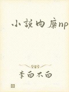 小说肉糜np