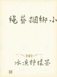 绳艺捆绑小说封面
