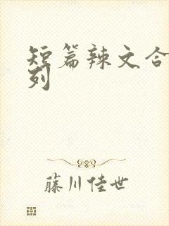短篇辣文合集系列封面