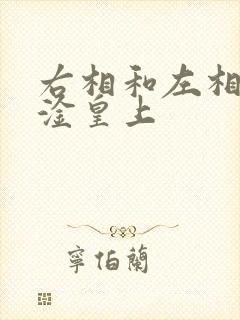 右相和左相一起淦皇上