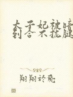 太子妃被暗卫C到合不拢腿