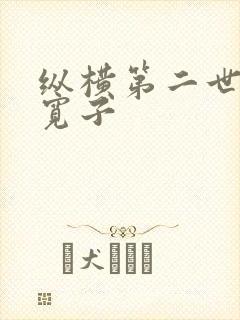 纵横第二世界 宽子