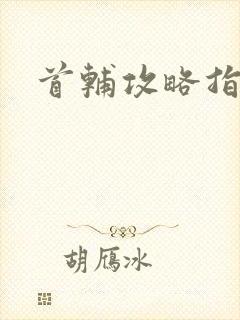 首辅攻略指南封面