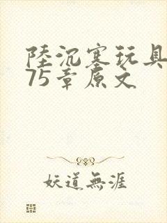 陆沉塞玩具高速75章原文