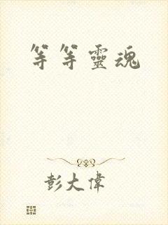 等等灵魂封面