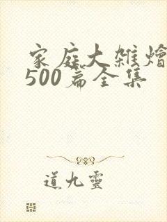 家庭大杂烩小说500篇全集封面