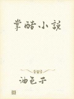掌酷小说