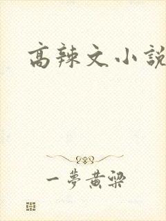 高辣文小说