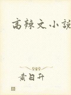 高辣文小说