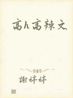 高h高辣文