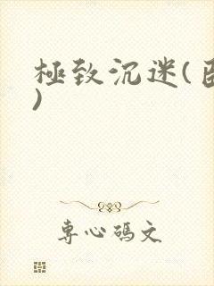 极致沉迷(臣年)封面