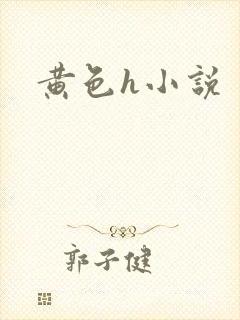 黄色h小说封面