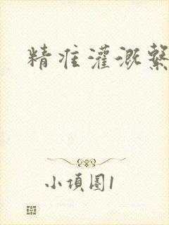 精准灌溉系统