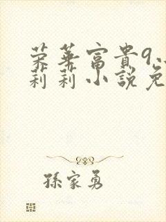 荣华富贵9小王莉莉小说免费阅读封面