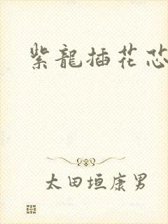 紫龙插花芯方正