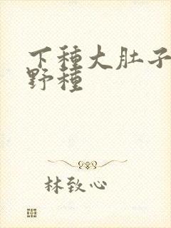 下种大肚子怀孕野种