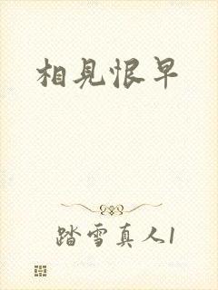 相见恨早
