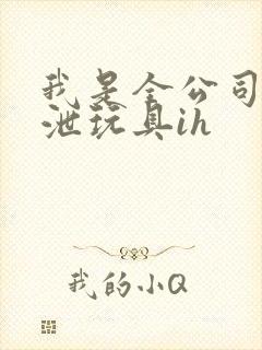 我是全公司的发泄玩具ih