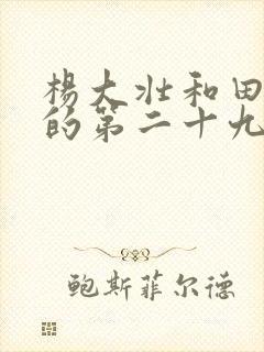 杨大壮和田桂花的第二十九
