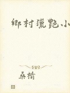 乡村猎艳小说封面