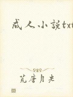 成人小说txt